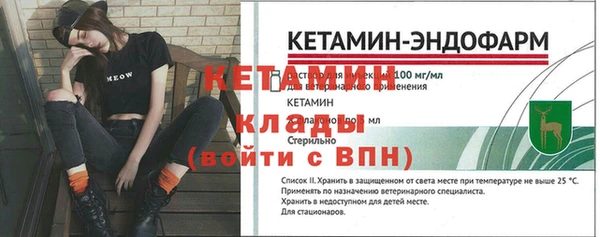 стаф Пересвет