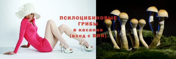 Альфа ПВП Переславль-Залесский