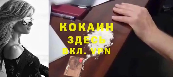 стаф Пересвет