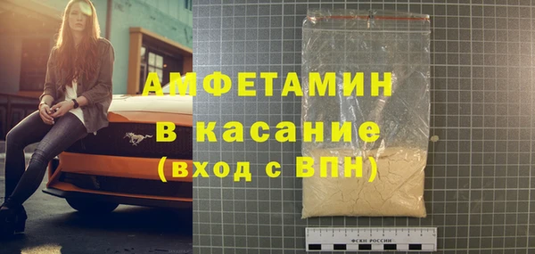 стаф Пересвет