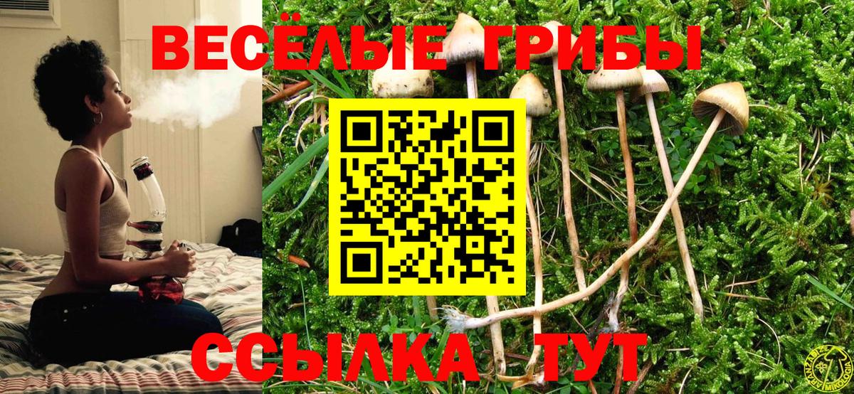 Псилоцибиновые грибы Cubensis Алексеевка
