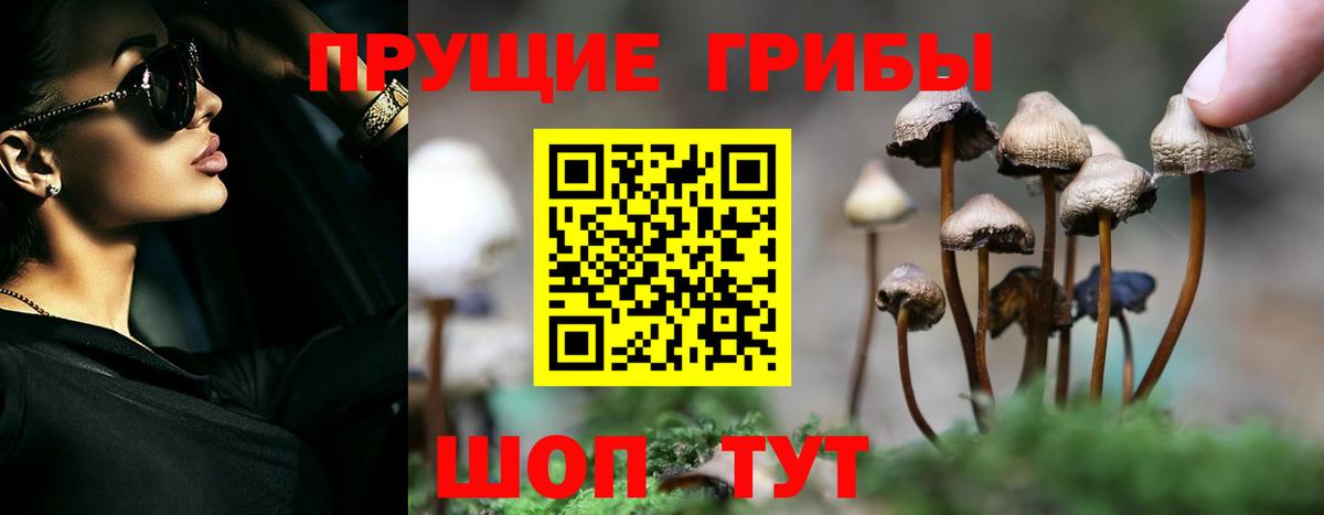 Псилоцибиновые грибы Psilocybe  Вход с VPN  Галлюциногенные грибы Cubensis  Алексеевка 