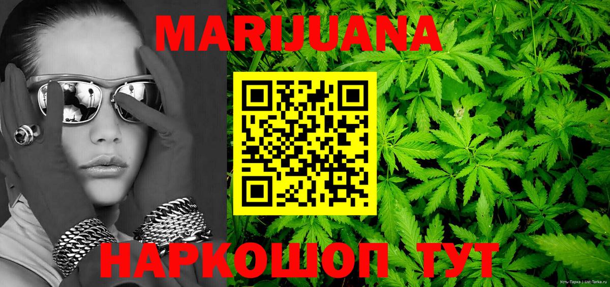 Каннабис сатива Алексеевка